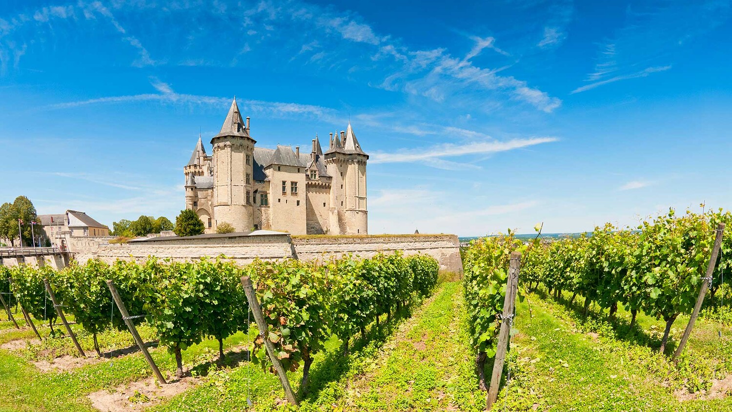French wine valley